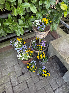 Blumenhaus Katja