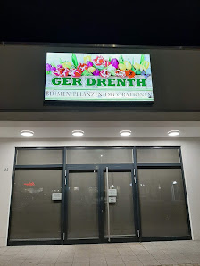Blumen Drenth GmbH