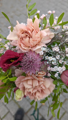 Blatt & Blüte - Freudenberg