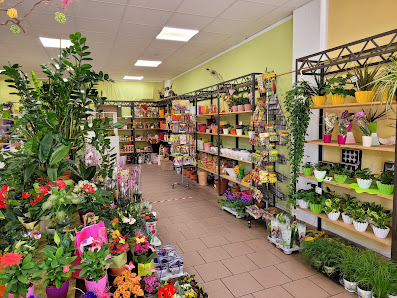Blumen Lorenz