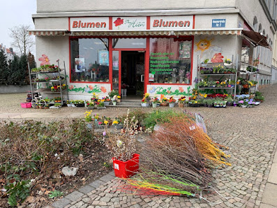 Blumen Thu Hiêń