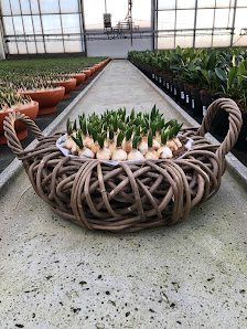 Gartenbau Udo Keysers