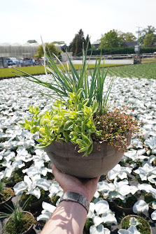 Gartenbau Udo Keysers