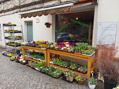 Blumeneck Kleinzschocher