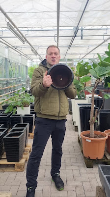 Plantaplaza - Mediterrane Baumschule - grösste Auswahl an Olivenbäume