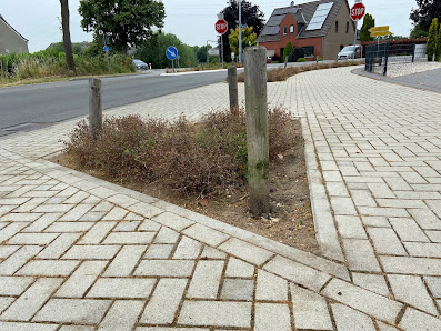 Kersten Gartenprojekte