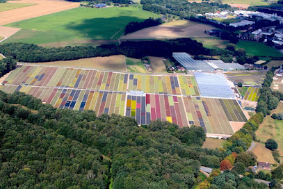 Gartenbau Verheyen-Baetcke, Inhaber Birger Baetcke