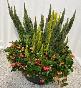 Gartenbau Verheyen-Baetcke, Inhaber Birger Baetcke