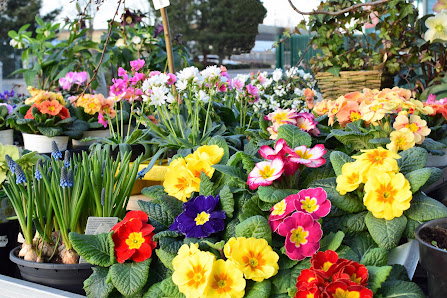 Mobau Hopmann GmbH Garten- und Freizeitmarkt