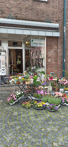 Blütenzauber Willemsen