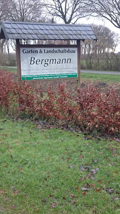 Mathias Bergmann