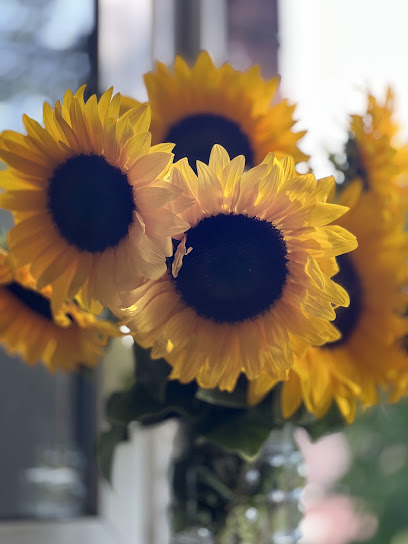 Blumen Selbstpflücke