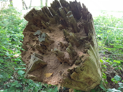 Landschaftsgestalter