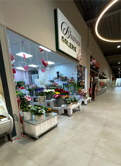 Blumen Galerie Kamp-Lintfort