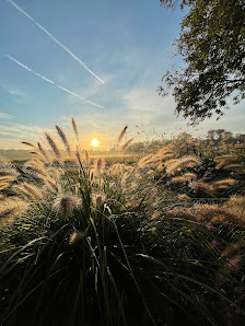 Gartenkonzepte Kerstin Claßen