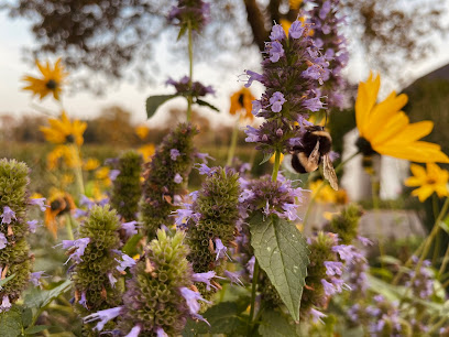 Gartenkonzepte Kerstin Claßen