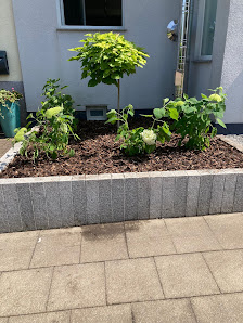 Gartengestaltung Saul / Joe der Baumwerfer