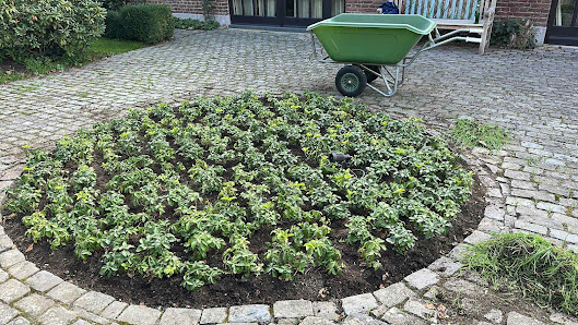 Fita Garten & Landschaftsbau