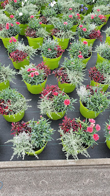 Gartenbau Brüx