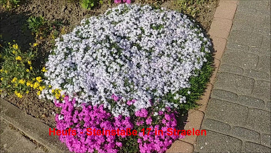 Gartenbau Heufs KG