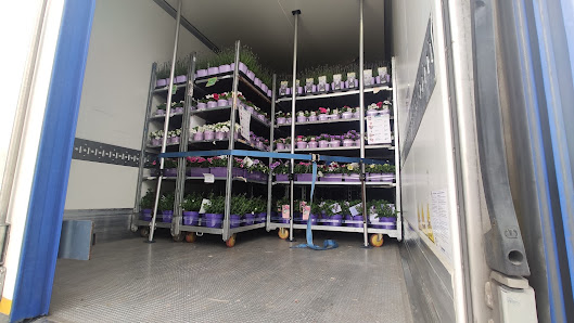 Gartenbau Heekeren