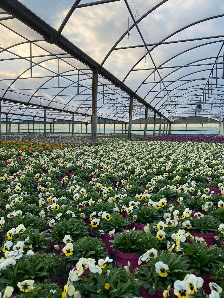 Gartenbau Heekeren