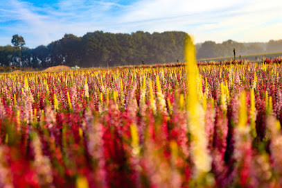 Gartenbau G&G Ripkens GbR