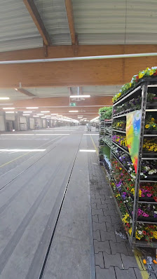 Blumengroßhandel Fegers GmbH