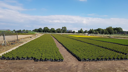 Friedhof in Straelen