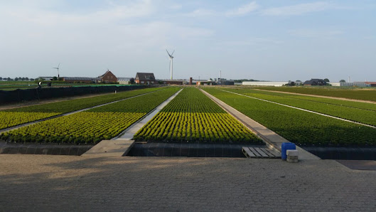 Gartenbaubetrieb und Friedhofsgärtnerei Manfred Gatzweiler