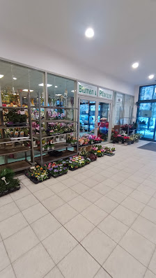 philipp Blumen & Pflanzen