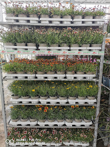 Gartenbau Stefan Loy GbR