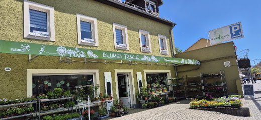 Blumen-Trache Floristmeisterbetrieb e.K.