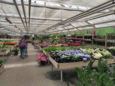 Brüggener Blumentopf Agnes Platzer