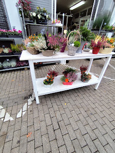 Blumen Wunder