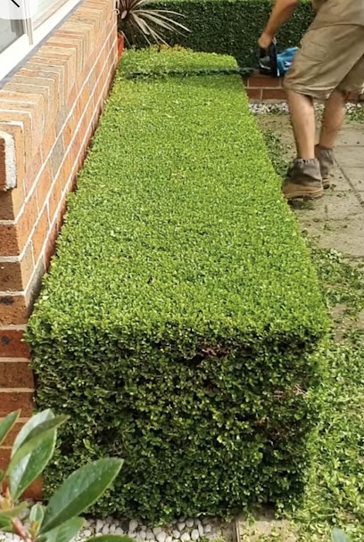 Albi Gartenbau