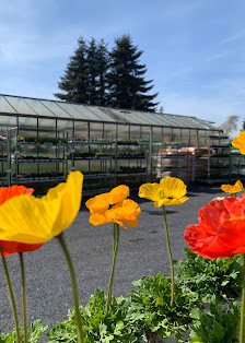Gartenbau Potthinck