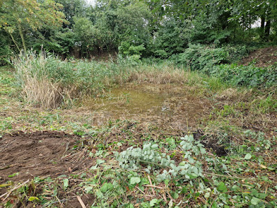Bernd Hüweler Gartengestaltung