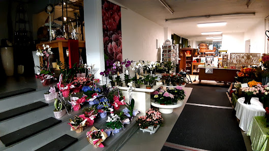 Blumen von Angela