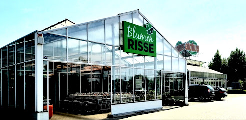 Blumen Risse Blumenmarkt Ludwigshafen