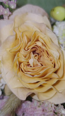 Blumentruhe_lu