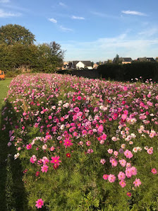 Jens Claßen Garten- und Landschaftsbau