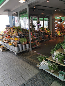 BLUME2000 Kaiserslautern