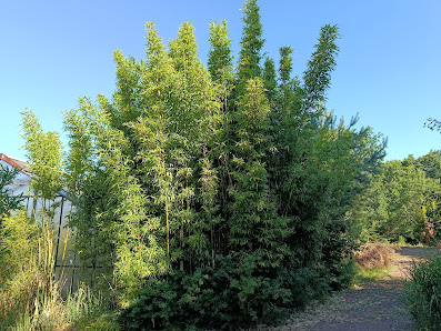 Bethke Garten-Landschaftsbau