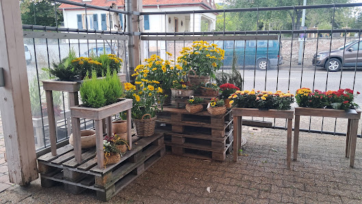 Blumenhaus Bärbel Wiblishauser | Inh. Bärbel Fröhlich e.K. Floristmeisterin