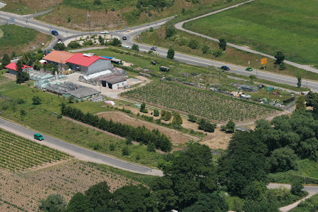 Thomas Salewsky Garten- und Landschaftsbau