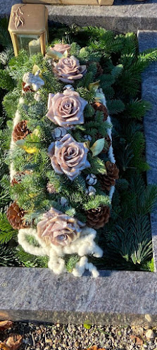 Gänseblümchen