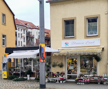 Blumen Land Dresden