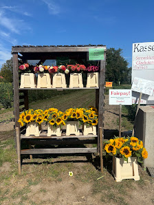 Blumen selbst schneiden