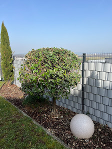 Garten Landschaftsbau Koblenz